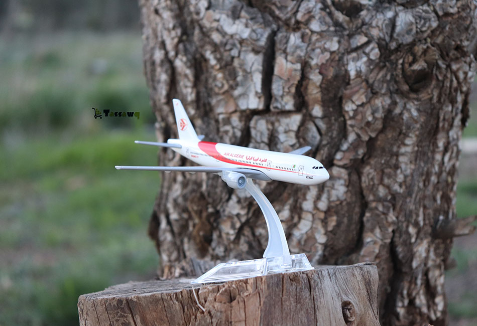 Avion de collection miniature Air Algérie 16 cm - الصورة 3