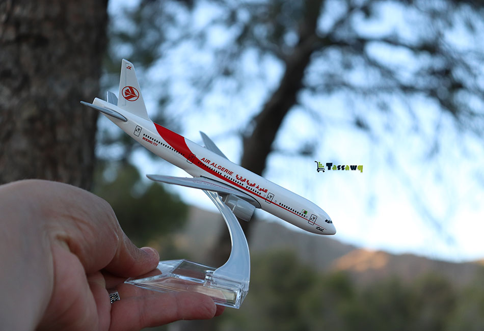 Avion de collection miniature Air Algérie 16 cm - الصورة 2