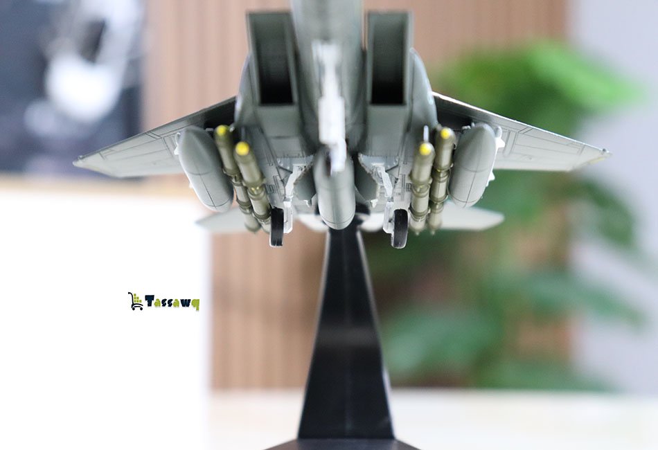 Classic American F-15E Strike Eagle - الصورة 8